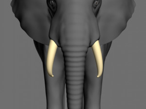 pro elephant - animated 3D Модель