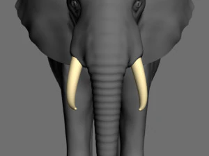 pro elefante - animato Modello 3D