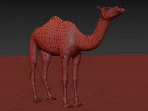 pro camel 8k - modello animato 3d Modello 3D