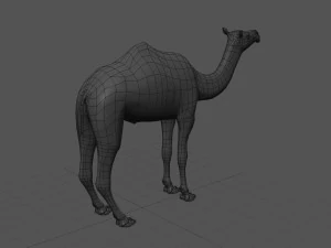 pro camel 8k - modello animato 3d Modello 3D