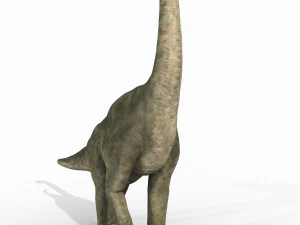 brachiosauro per sempre - 8k Modello 3D