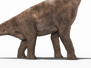 brachiosauro per sempre - 8k Modello 3D