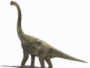 brachiosaur forever - 8k Modello 3D