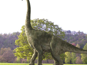 brachiosauro per sempre - 8k Modello 3D