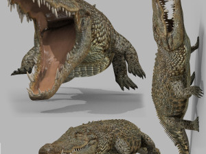 terror croc pro - 8k 3d animated crocodile model 3D Model