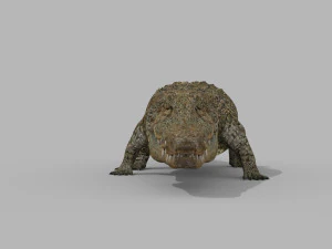 terror croc pro - 8k 3d animated crocodile model 3D Model