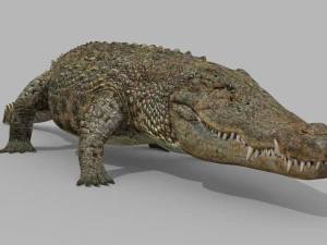 terror croc pro - 8k 3d animated crocodile model 3D Model