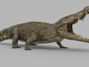 terror croc pro - 8k 3d animated crocodile model 3D Model