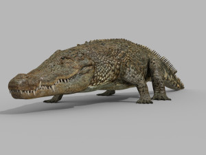 terror croc pro - 8k 3d animated crocodile model Modelo 3D