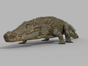 terror croc pro - 8k 3d animated crocodile model 3D Model