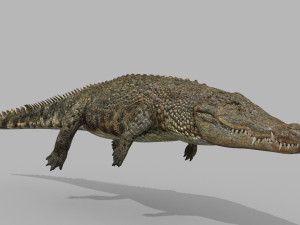 terror croc pro - 8k 3d animated crocodile model Modelo 3D