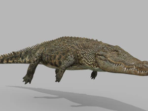 terror croc pro - 8k 3d animated crocodile model 3D Model