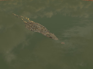 terror croc pro - 8k 3d animated crocodile model Modelo 3D
