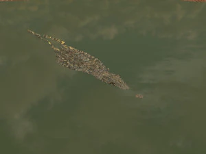 terror croc pro - 8k 3d animated crocodile model 3D Model