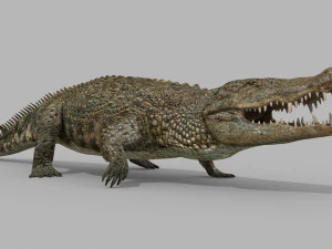 terror croc pro - 8k 3d animated crocodile model 3D Model