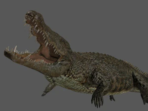 terror croc pro - 8k 3d animated crocodile model 3D Model