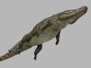 terror croc pro - 8k 3d animated crocodile model 3D Model