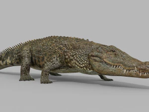 terror croc pro - 8k 3d animated crocodile model 3D Model