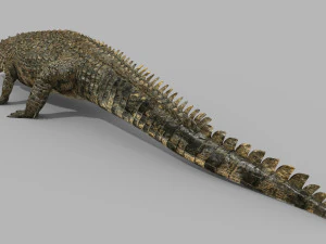 terror croc pro - 8k 3d animated crocodile model 3D Model