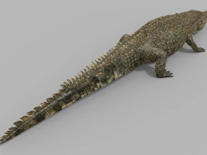 terror croc pro - 8k 3d animated crocodile model 3D Model