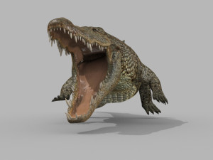terror croc pro - 8k 3d animated crocodile model Modelo 3D