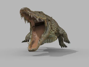 terror croc pro - 8k 3d animated crocodile model 3D Model