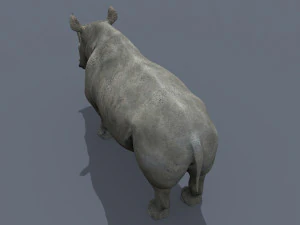 pro rhino - 8k 3D Model