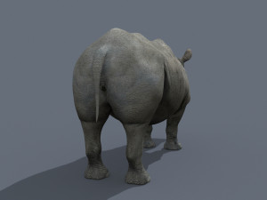 pro rhino - 8k 3D Model