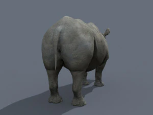 pro rhino - 8k 3D Model