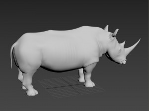 pro rhino - 8k 3D Model