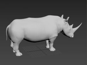 pro rhino - 8k 3D Model