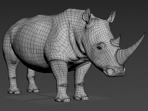 pro rhino - 8k 3D Model