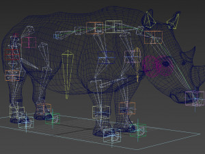 pro rhino - 8k 3D Model