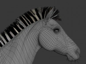 cebra profesional - 4k Modelo 3D