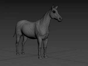 cebra profesional - 4k Modelo 3D