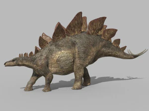 stegosaur forever - 8k 3D Model