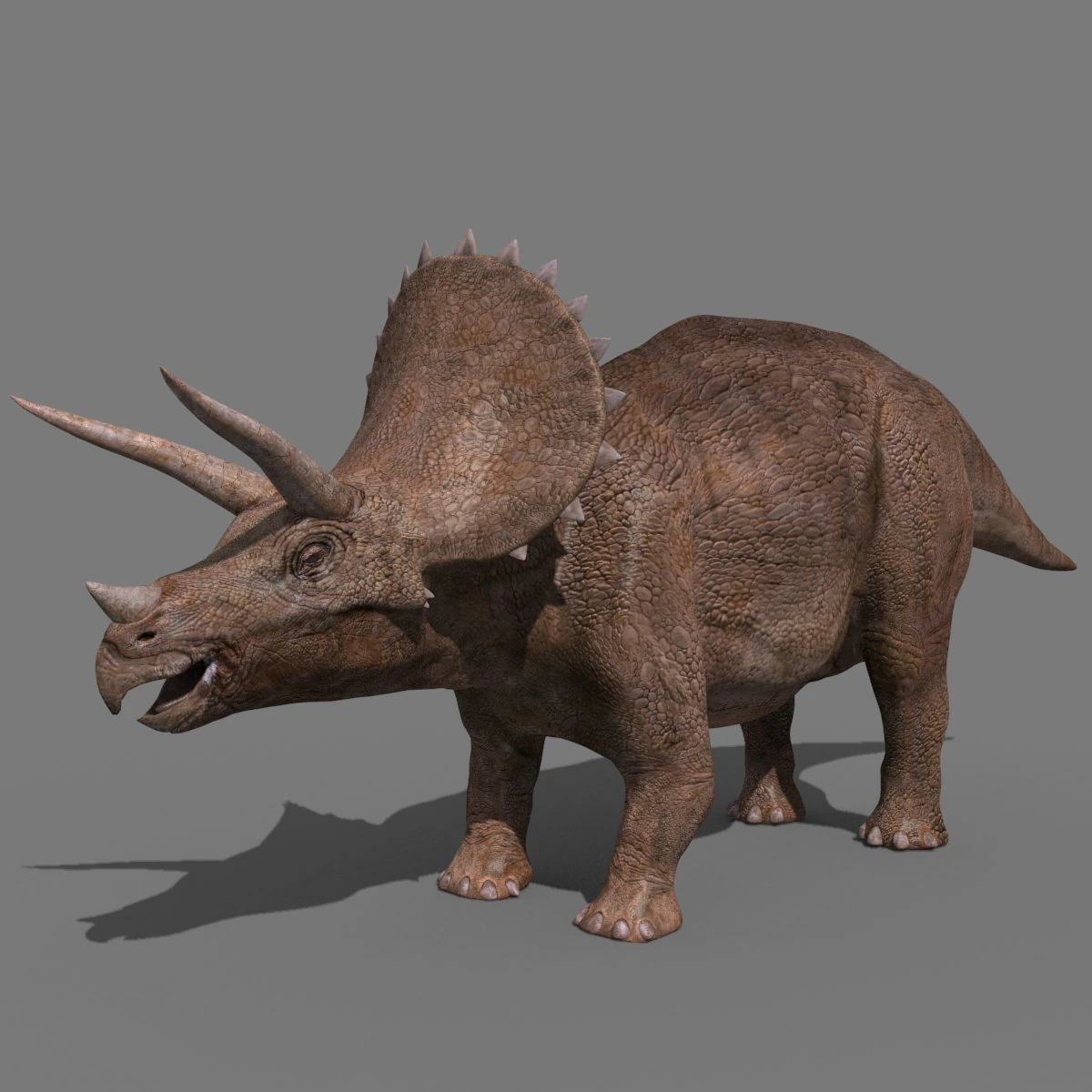 Tributo ao Triceratops - 8K Modelo 3D .c4d .max .obj .3ds .fbx .stl .blend