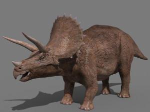 Triceratops Tribute - 8K 3D Model