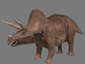 Tributo ao Triceratops - 8K Modelo 3D