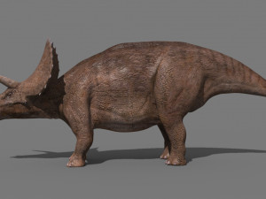 Triceratops Tribute - 8K 3D Модель