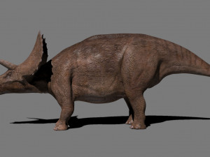 Triceratops Tribute - 8K 3D Модель