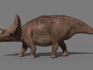 Tributo ao Triceratops - 8K Modelo 3D
