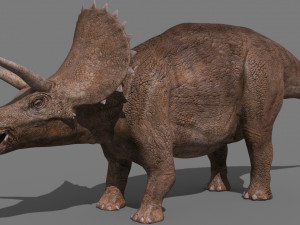 Triceratops Tribute - 8K 3D Модель