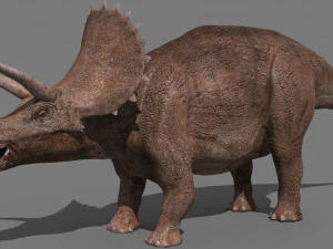 Tributo ao Triceratops - 8K Modelo 3D