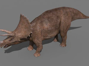 Tributo ao Triceratops - 8K Modelo 3D