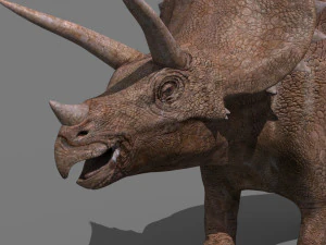 Tributo ao Triceratops - 8K Modelo 3D