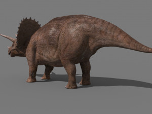 Triceratops Tribute - 8K 3D Модель