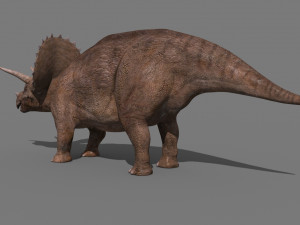 Triceratops Tribute - 8K 3D Модель