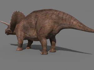Tributo ao Triceratops - 8K Modelo 3D