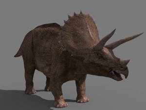Triceratops Tribute - 8K 3D Модель